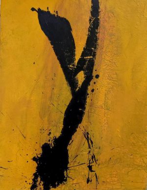 WhatsApp Image 2026-02-24 at 14.12.33