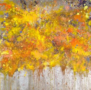 WhatsApp Image 2026-02-24 at 14.31.40